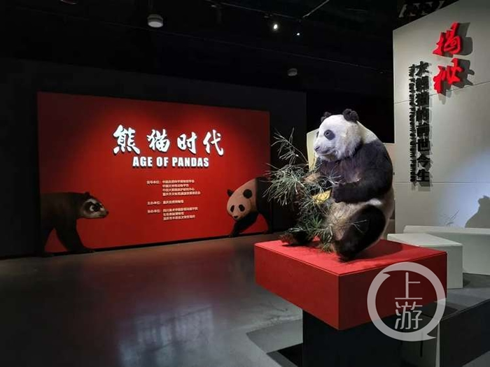 ������Ȼ����ݡ���èʱ���������ش���è��ǰ����������չ