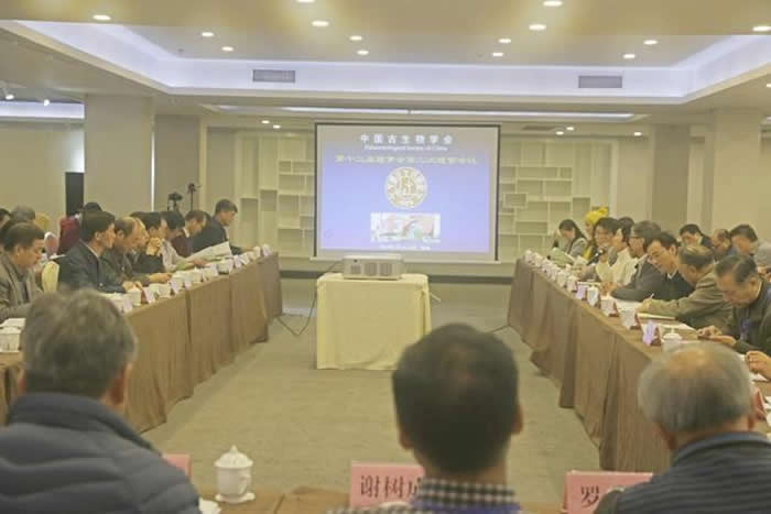 �й�������ѧ���ʮ����������»��ڹ����ٿ�