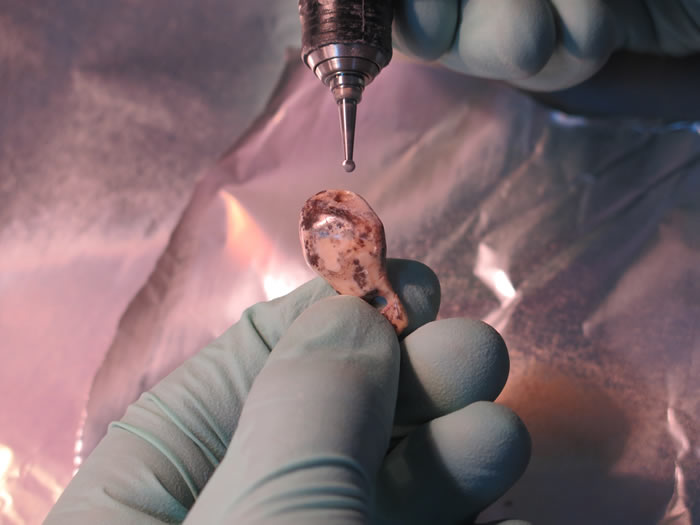 �����о��Ե��������˺��ᰲ��������Щ������ռ�ݵ������߶��������������������