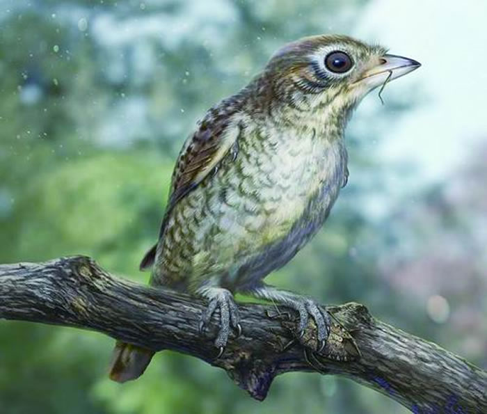 鸟足琥珀的生态复原图(张宗达 绘)