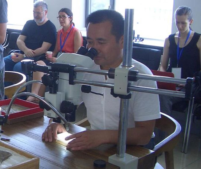 ���գ��Ի�ʯ���ŷ����Ȱ� ʼ��ִ���ڴ�