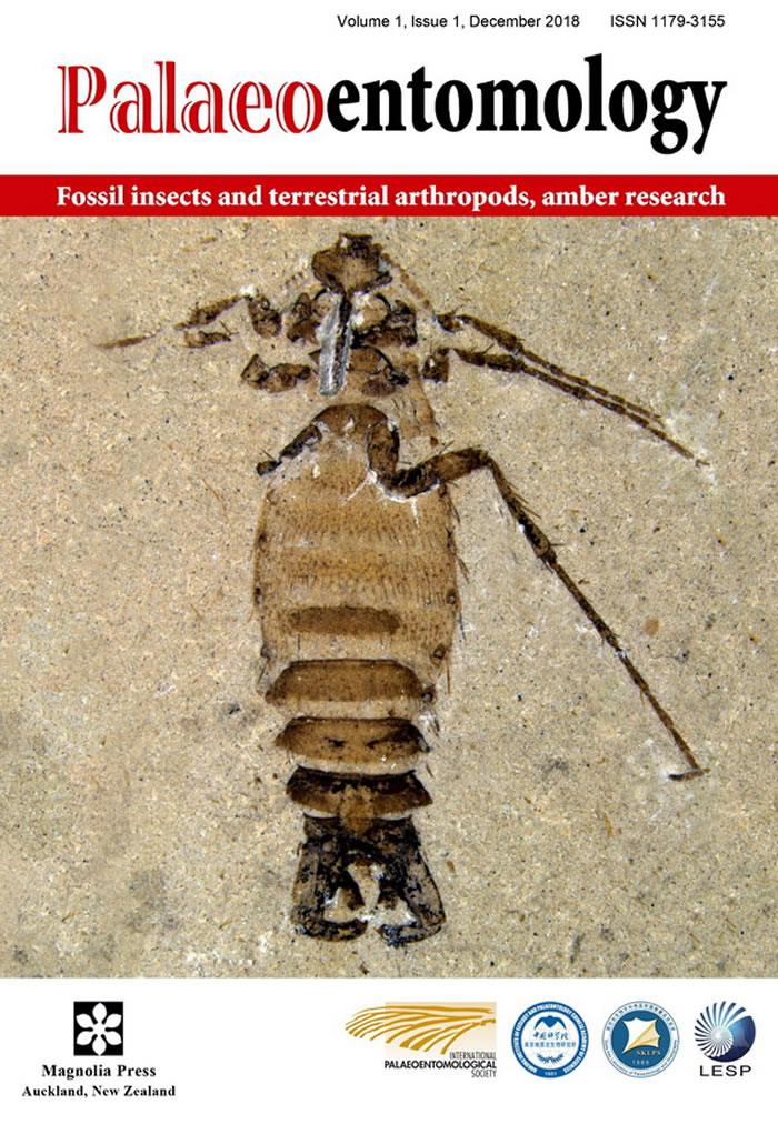 ���ʹ�����ѧ��ٷ�ѧ���ڿ���������ѧ������