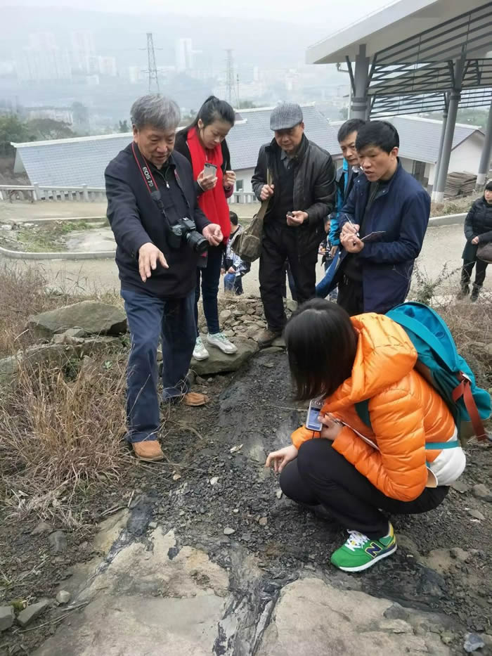 ����ƽ���Ҷ������п�Ժ������Ժʿ����һ��һ�н��ܴ���ɽľ��ʯ