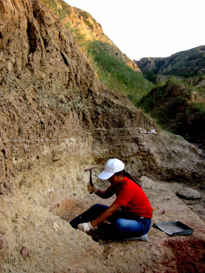 �����ں�������ַЭ������