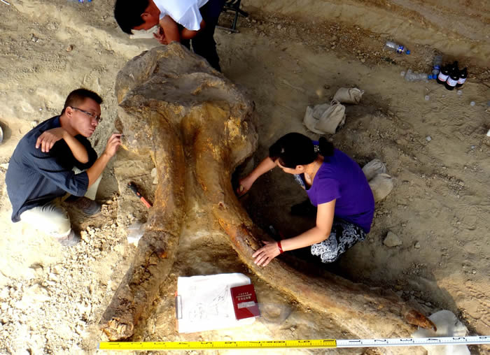 ����������𻨵ȷ���������ͷ�ǻ�ʯ