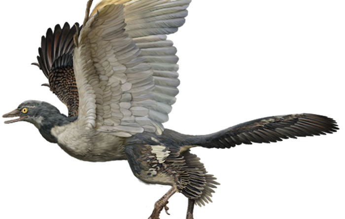 �¼����յ�ӫ�⼼��ָ���е�ԭʼ��ë�걾���ܲ�������ӡʯ��ʼ����