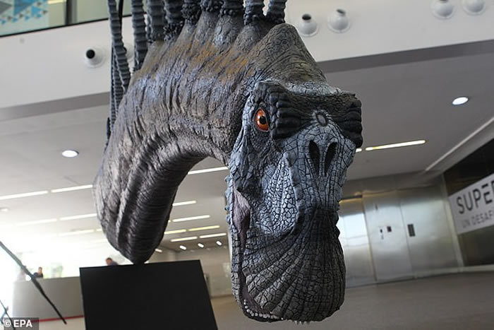 ����͢���������Ƿ��ֲ�������Ʒ�ֿ��� ���ⳤ��������