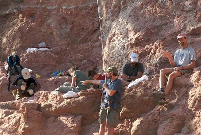 ���޷���һ����������β�ǵĿ�������Mnyamawamtuka moyowamkia