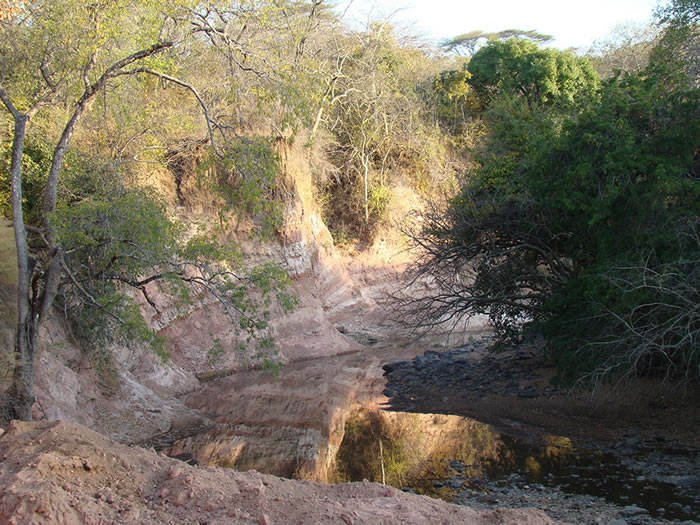 ���޷���һ����������β�ǵĿ�������Mnyamawamtuka moyowamkia