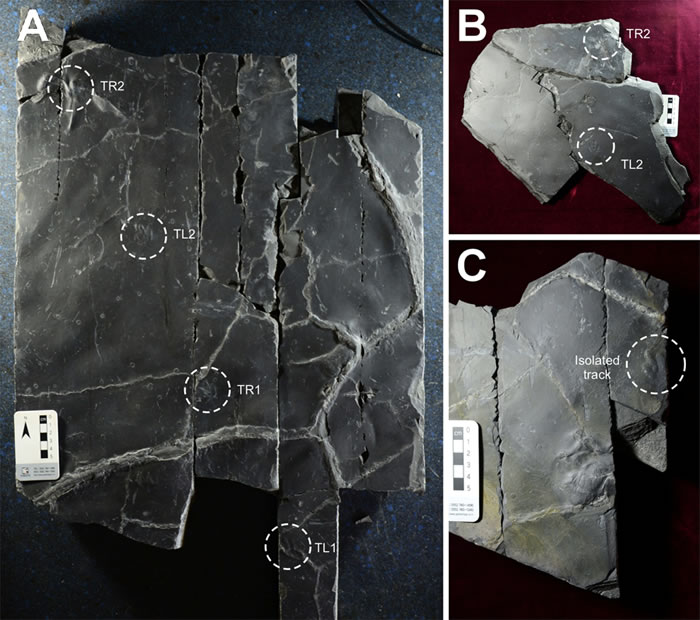 ��������������㼣��ʯ������Ƥ��ӡ��