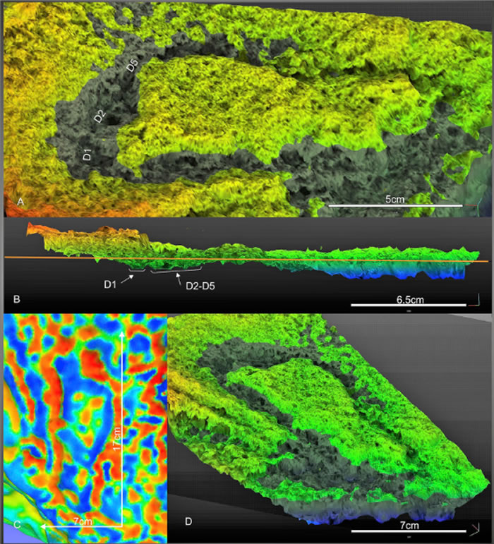 ֱ������ɳ�ʳ������з����ᰲ�������㼣