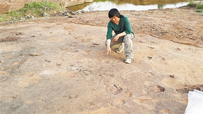 ɽ�����֡�٪�޼͹�԰���� ��Ⱥ��Ѹ�������㼣�״γ���