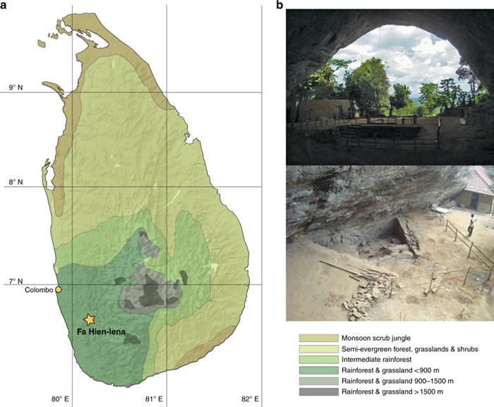 ��ɱ���Ӻ�����ʹ���������ȴ���������׳�ɳ�