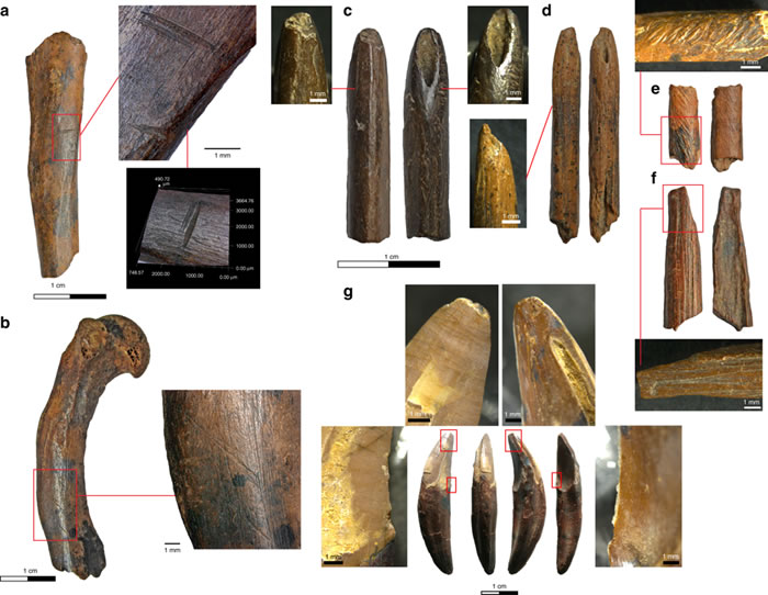 ��ɱ���Ӻ�����ʹ���������ȴ���������׳�ɳ�