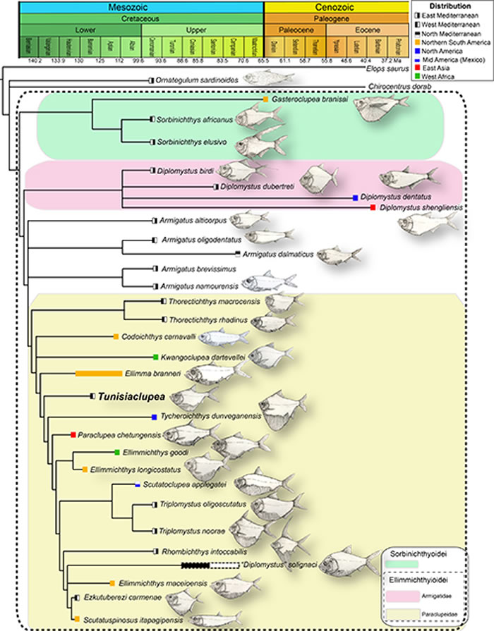 ϵͳ���������������ͼ�������