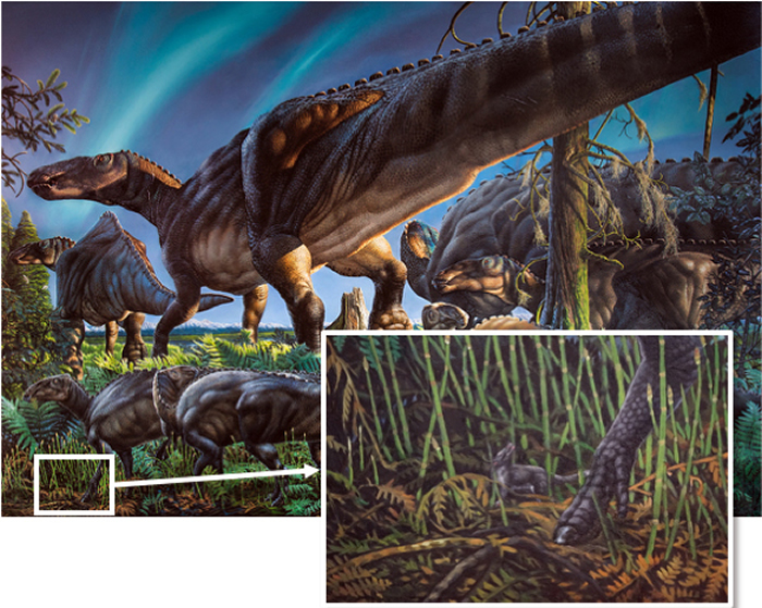 ��������˹�ӺӰ��Ϸ�����������ʱ�ڵ��д�����Unnuakomys hutchisoni