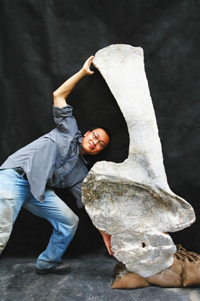 ���꼯�롰�����顱 ��ƾɶ�ɹ�����硰����