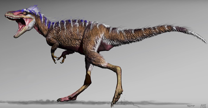 �µı�������С�Ϳ��������������ʯ��¼�հ�