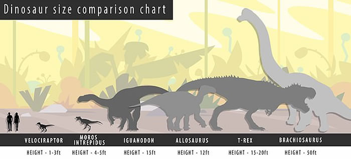 �µı�������С�Ϳ��������������ʯ��¼�հ�