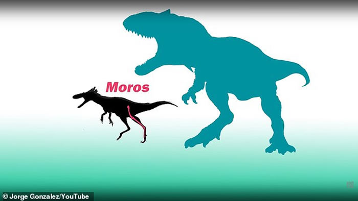 �µı�������С�Ϳ��������������ʯ��¼�հ�