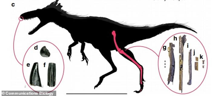 �µı�������С�Ϳ��������������ʯ��¼�հ�