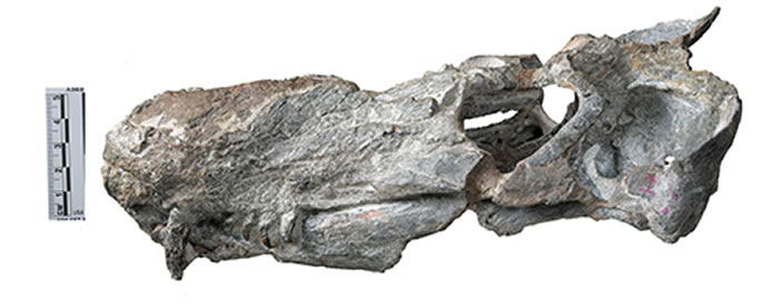 ����ɽ�԰���������ͷ�ࡪ�����Ͼŷ���