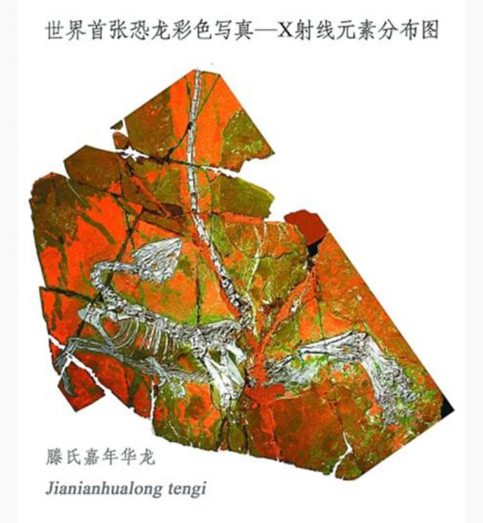 X-����ӫ����׼����״�Ӧ�ÿ�����ʯ�о����� �������ſ�������д���ڴ�������