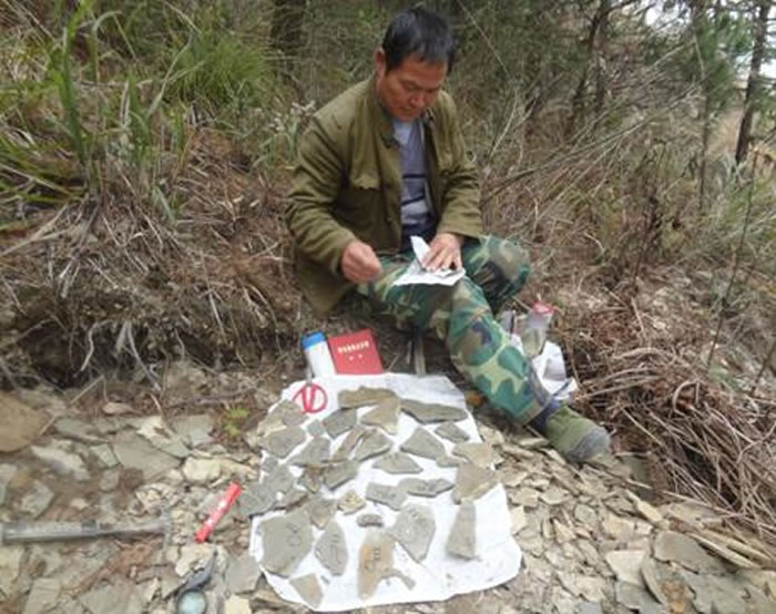 ���󸣣�Ϊ��ʯĬĬ������Ѱ������