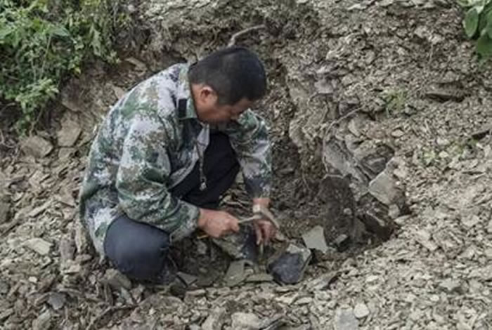 ���棺���ɻ�ʯ�� ���ض�ʮ����