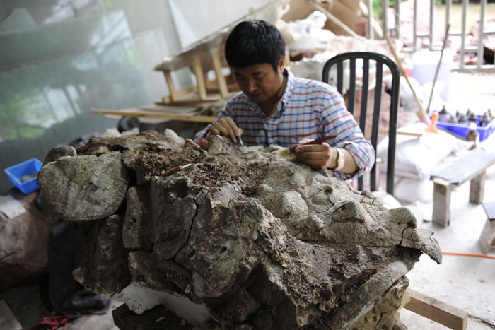 ���پ�������������ʯ