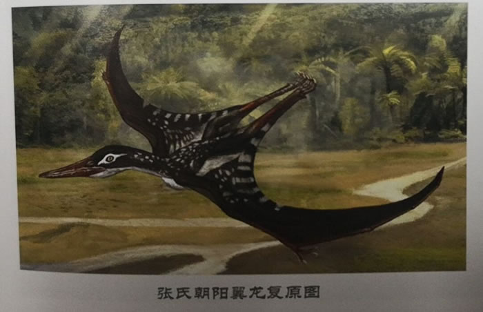 ����������λ���ϱ�������ʯ�ļ���