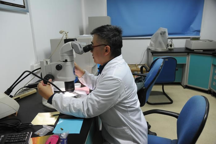 ���ӣ�������������������