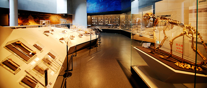 �����ܿڵ꣺��д��ַ������ƪ��