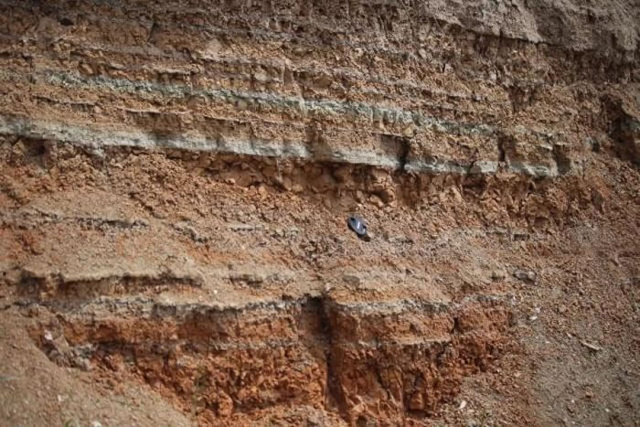 �ຣʡ�����������ص������۳�һ�����缶�����ż�����л��������