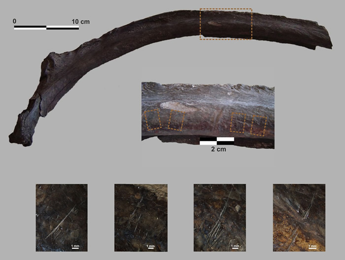 ����͢���Ͳ�ԭ���ֵľ��͵�����ʯ�ṩ�����������ĩ�ھ��Ͷ�������йص�֤��