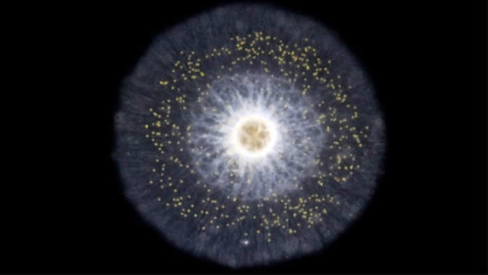 ��ʯ֬������������ֵ�ʱ���Ŀǰ��Ϊ��Ҫ��