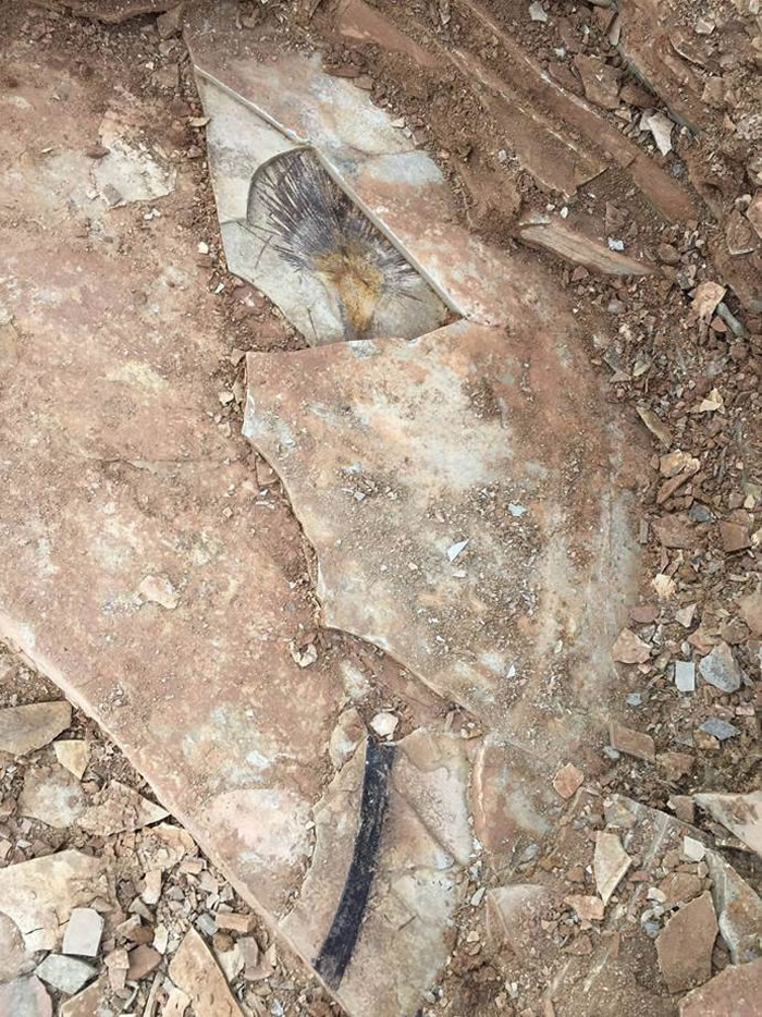 ��鵻�ʯ�����ֳ�