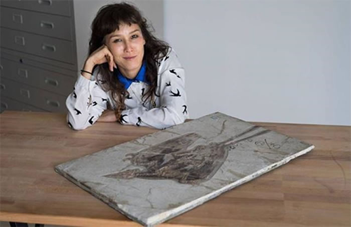 �ӻ�ʯ�о��ִ���������ѧ�������ݻ�