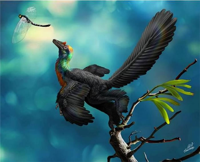 �ʺ�����ԭͼ���Դ� �棩