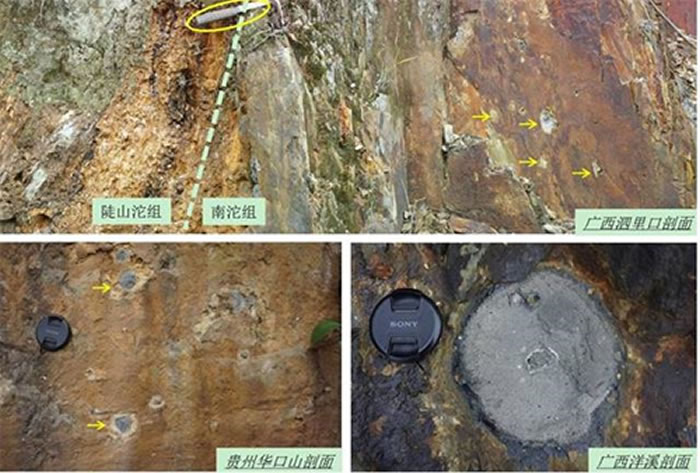 ���������鶥���㷺�ֲ��Ļ������ˣ����̹� ��ͼ��