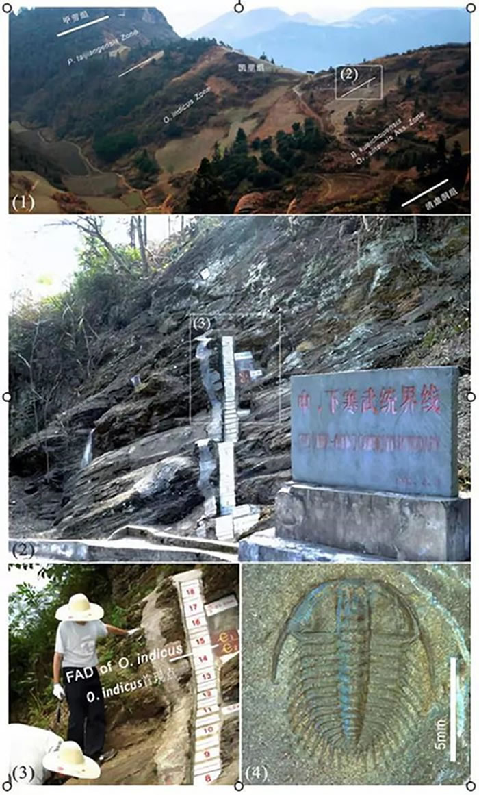 ���ݽ��Ӻ���ϵ����ͳ������ײ�������͵�λ