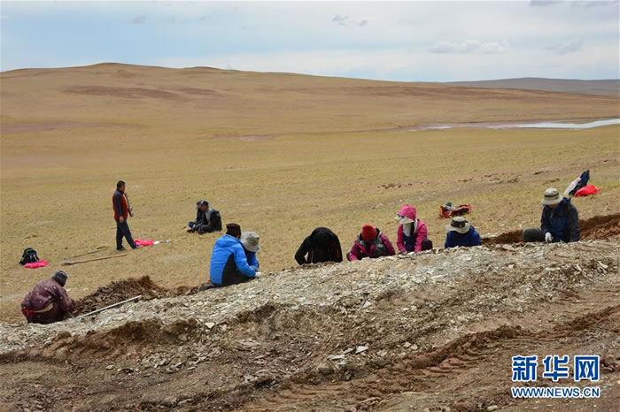 �ƿ����ڲر���������ؽ��еڶ�����ظ�ԭ�ۺϿƿ���������Ƭ���� �»��緢������ �㣩