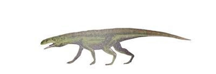 ������������ ͼ/ɽ�����ʲ����