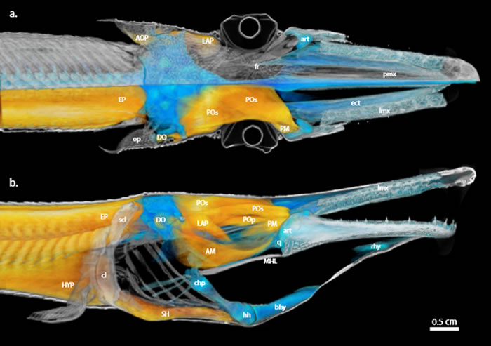 ��ʳ��������ġ������㡱�����˽�����Զ��������β�ʳ