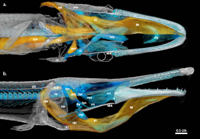 ��ʳ��������ġ������㡱�����˽�����Զ��������β�ʳ