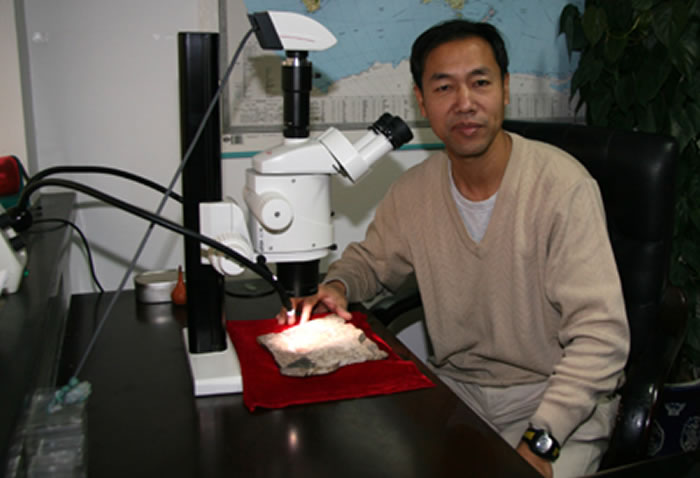 ȫ����ЭίԱ��Ԫ�������Ϊ�����ﻯʯ���п��١���ɫͨ����