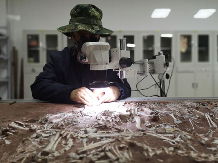 ɽ��ʡ���ʲ���ݡ�85��С�������ҿ�Զ�������������ɴ