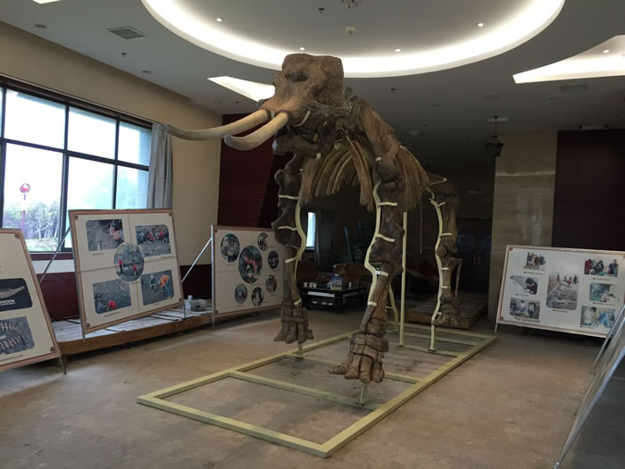 �Ž����޸�����ͨ������Ǽ�