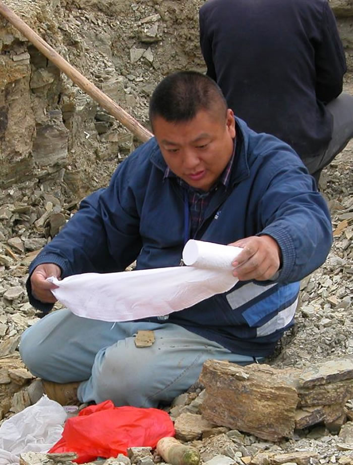 ���ȣ���Խʱ�� �Ի���ʯ