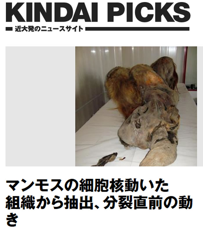 ͼ�Խ��ܴ�ѧ����